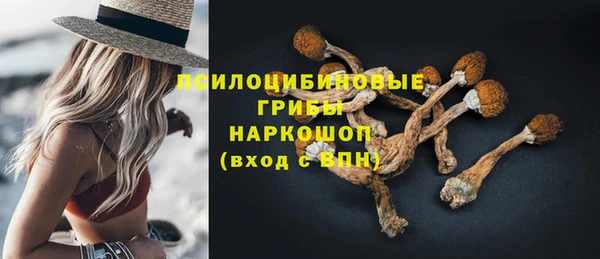 скорость Липки