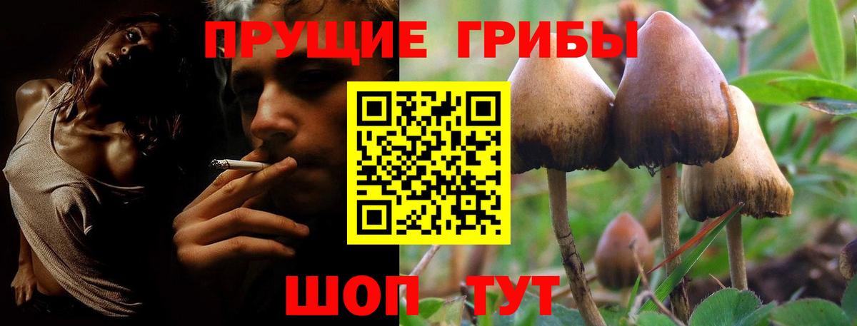 Новоуральск  Псилоцибиновые грибы MAGIC MUSHROOMS  Вход с VPN  Галлюциногенные грибы Psilocybe 